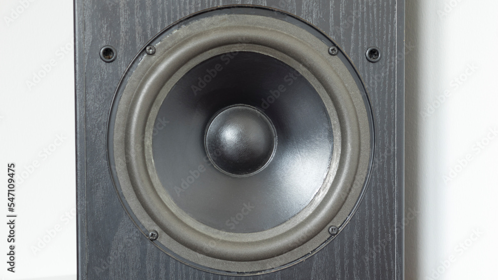 bass speaker in black wooden cabinet white background bass speaker in black wooden cabinet white background