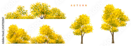 Vector watercolor blooming flower,tree or forest side view isolated on white background for landscape and architecture drawing,elements for environment and garden,botanical for section in autumn 