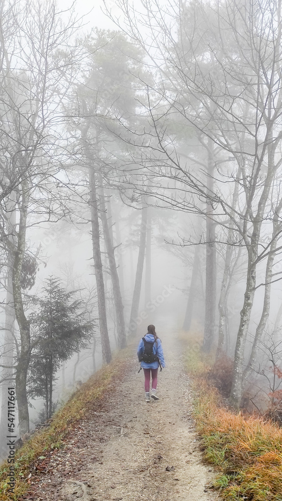 Girl goes into a foggy forest through a small path. Young girl hiking in the mountains on a winter day with clothes for the cold