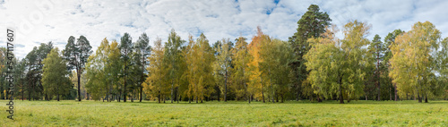 Different trees on edge of big glade in autumn park