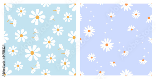 Seamless pattern with daisy flower on blue and purple backgrounds vector illustration. Cute floral print.