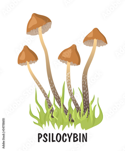 Narcotic psychedelic mushroom psilocybin color vector illustration. Psilocybin hallucinogenic magic mushrooms
