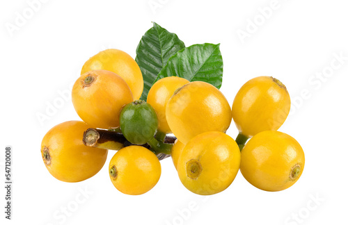 Yellow coffee beans isolated on transparent png