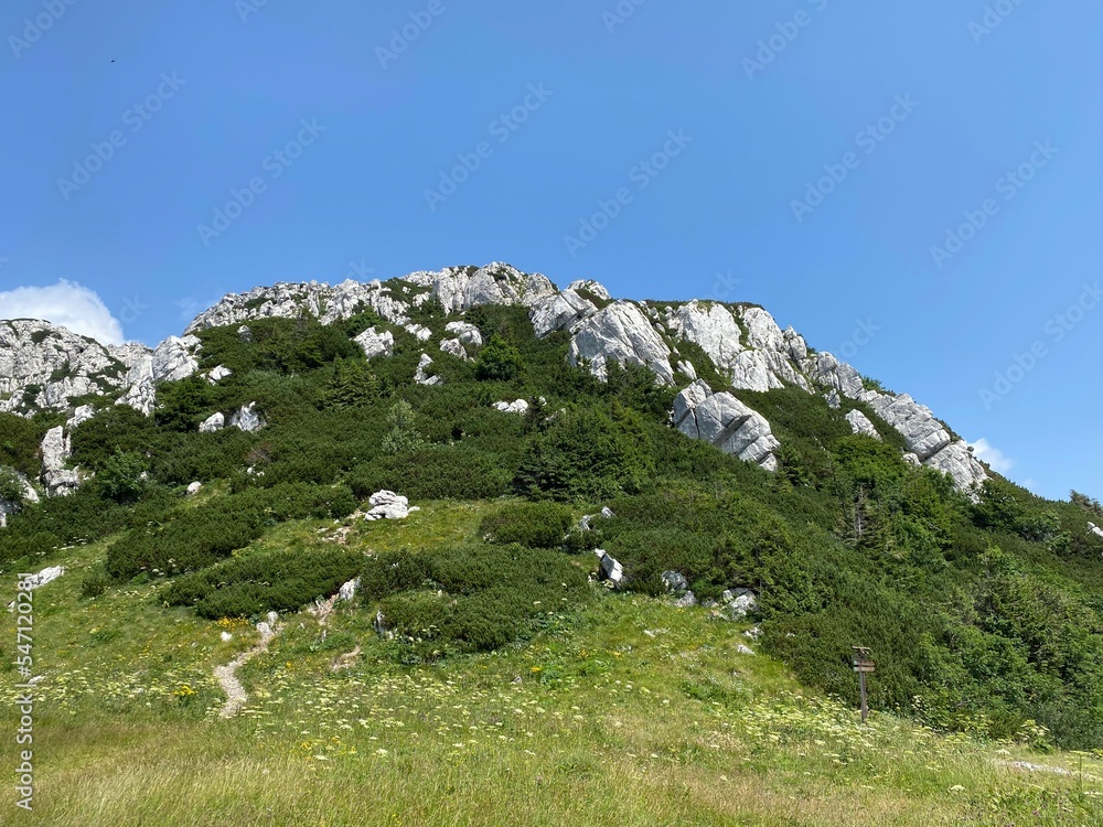 Peak Veliki Risnjak (1,528 m) in Risnjak National Park, Crni Lug - Croatia (Vrh Veliki Risnjak (1.528 m) u nacionalnom parku Risnjak, Crni Lug - Gorski kotar, Hrvatska)