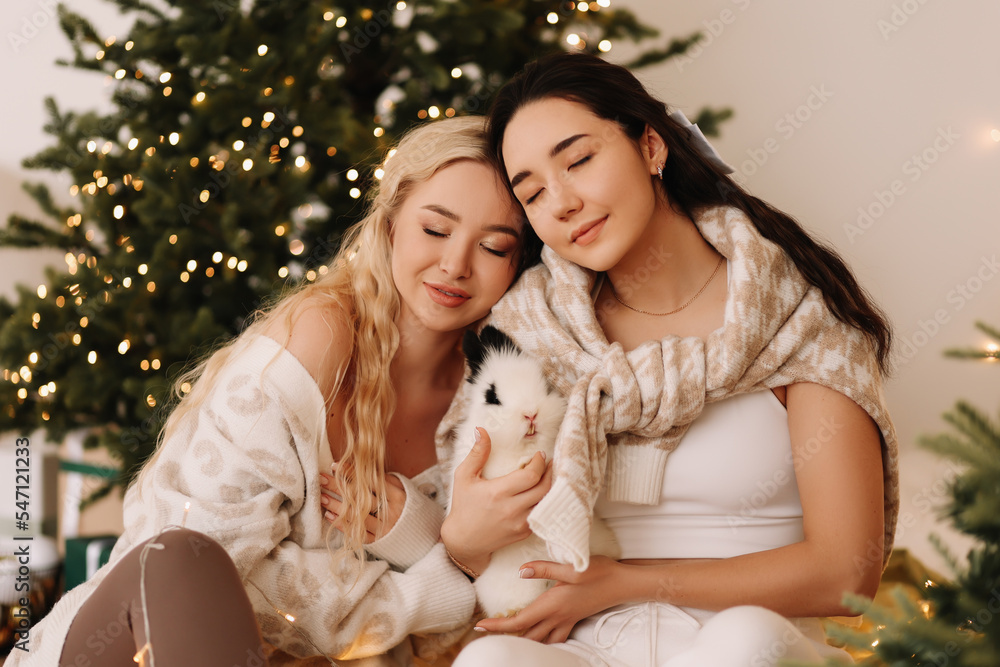 Two young women friends in sweaters hugging playing with a rabbit pet sitting in a decorated bedroom with a Christmas tree on holiday at home. Family lifestyle. The year of the rabbit. Selective focus Two young women friends in sweaters hugging playing with a rabbit pet sitting in a decorated bedroom with a Christmas tree on holiday at home. Family lifestyle. The year of the rabbit. Selective focus