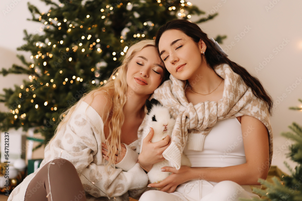 Two young women friends in sweaters hugging playing with a rabbit pet sitting in a decorated bedroom with a Christmas tree on holiday at home. Family lifestyle. The year of the rabbit. Selective focus Two young women friends in sweaters hugging playing with a rabbit pet sitting in a decorated bedroom with a Christmas tree on holiday at home. Family lifestyle. The year of the rabbit. Selective focus