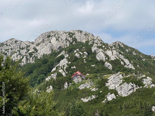 Peak Veliki Risnjak (1,528 m) in Risnjak National Park, Crni Lug - Croatia (Vrh Veliki Risnjak (1.528 m) u nacionalnom parku Risnjak, Crni Lug - Gorski kotar, Hrvatska) photo