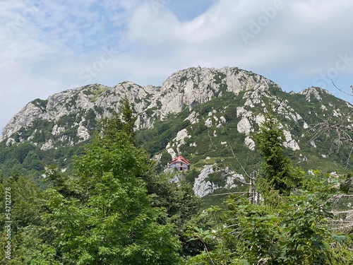 Peak Veliki Risnjak (1,528 m) in Risnjak National Park, Crni Lug - Croatia (Vrh Veliki Risnjak (1.528 m) u nacionalnom parku Risnjak, Crni Lug - Gorski kotar, Hrvatska)