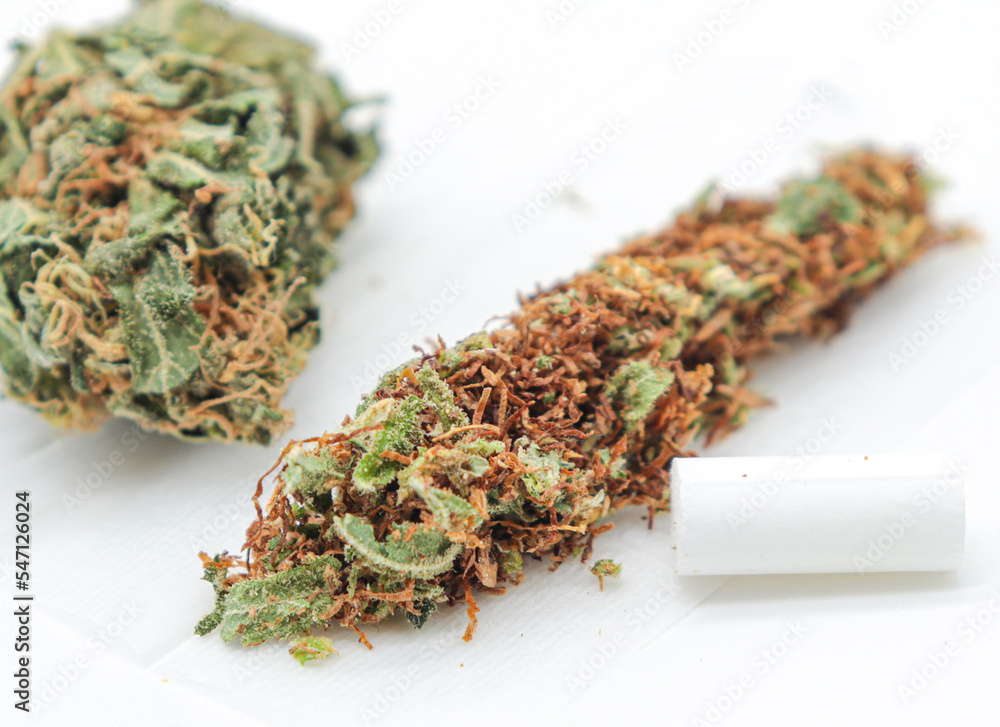 marijuana bud and weed joint isolated on white background