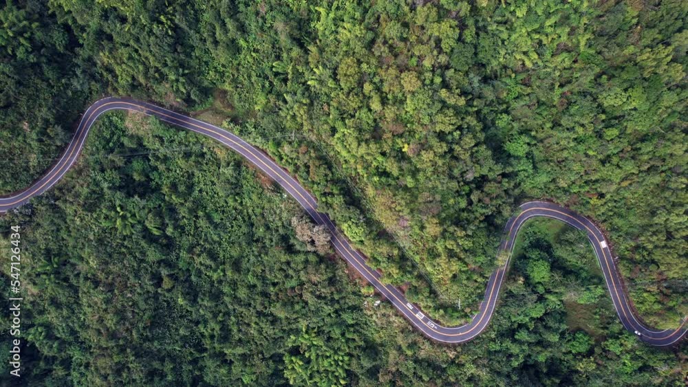Curvy Road aerial view with trees Curvy Road aerial view with trees
