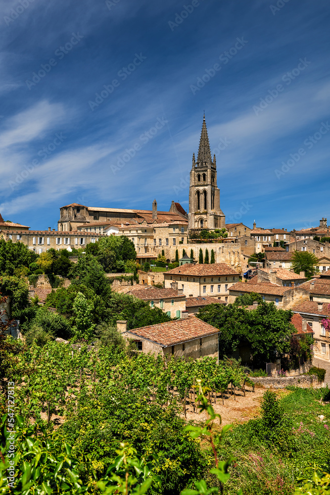 Vertical view of the town of Saint Emilion, Gironde, Aquitaine, France, Europe.