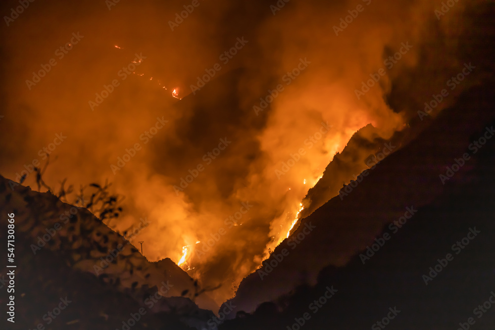 Forest fires in the mountains due to high temperatures and dryness. Uncontrolled wildfire. Cabrales, Asturias, Spain 