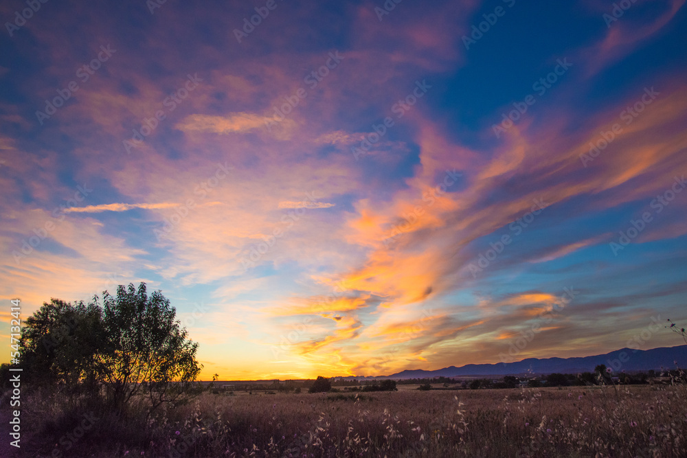 Colorful landscape with trees at sunset Colorful landscape with trees at sunset