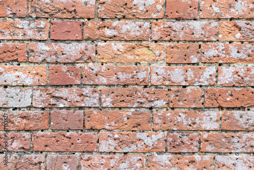 Brick Wall Copy Space