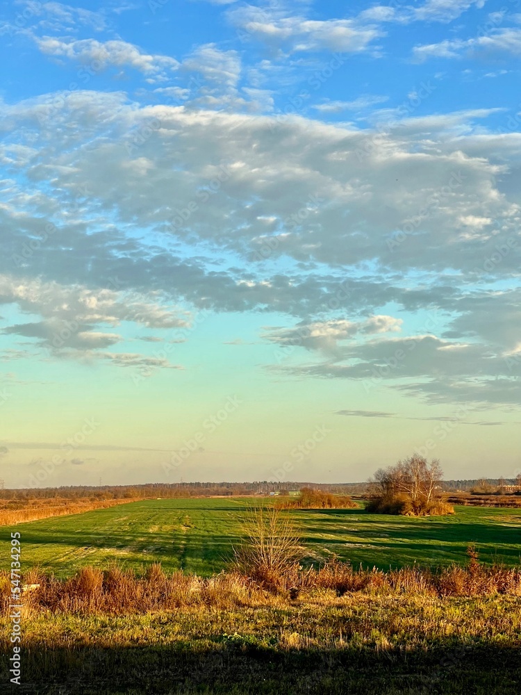 landscape with field and blue sky