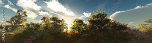 Beautiful autumn forest against the backdrop of the setting sun among the clouds  3d rendering