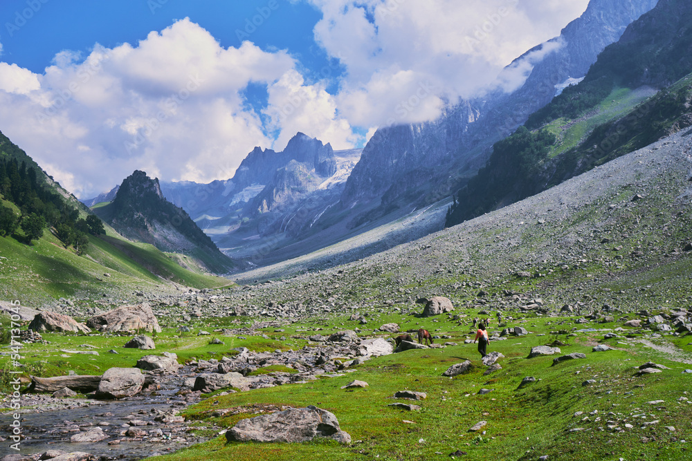 Travel pictures from Kashmir with lush green landscapes, sunsets, lakes, animals, etc. Used Fuji Xt200 Travel pictures from Kashmir with lush green landscapes, sunsets, lakes, animals, etc. Used Fuji Xt200