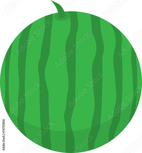 Watermelon. Watermelon whole isolated, Summer time concept jpeg and png format