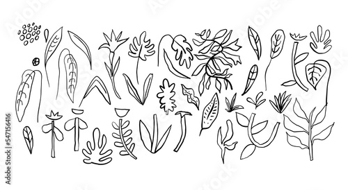 Black abstract doodle set of floral shapes, hand-drawn Matisse flower illustrations on white background