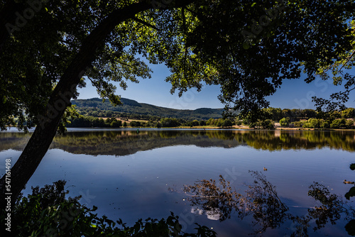 Arbre au bord d'un lac