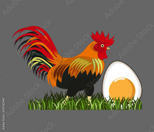 Rooster and big egg on green grass. Cartoon characters. Vector illustration