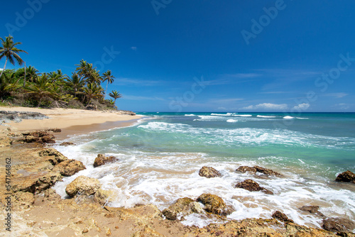 Tropical beach with palm trees and crystal clear water at Perla Marina beach, Cabarete, Dominican Republic