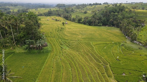 Bali, Indonesia - November 13, 2022: The Jatiluwih and Sidemen Terrace Rice Fields