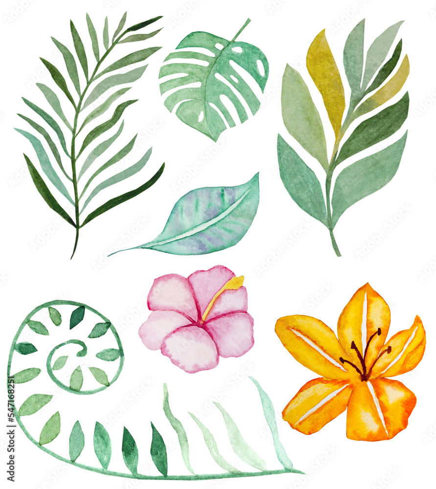 Tropical watercolor leaves and flowers