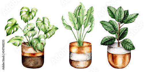 Flowers potted, watercolor painting. Flower in pot set isolated on white. Perfectly for stickers, poster design.	
