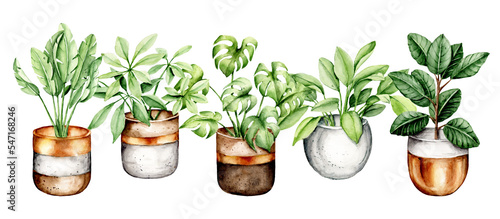Fotografie, Obraz Flowers potted, watercolor painting