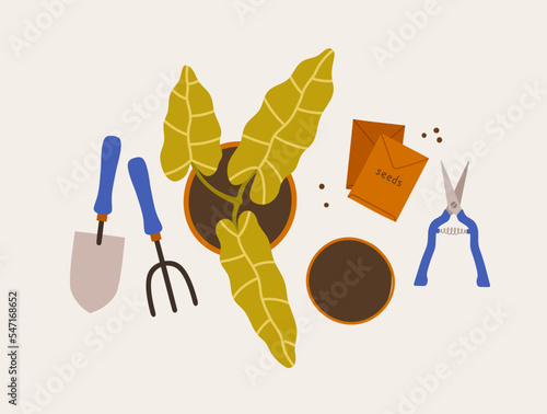 Gardening tools. Plants in pots, seeds, scissors, shovel, pitchfork. Concept of eco gardening, tools for growing plants, houseplants. 