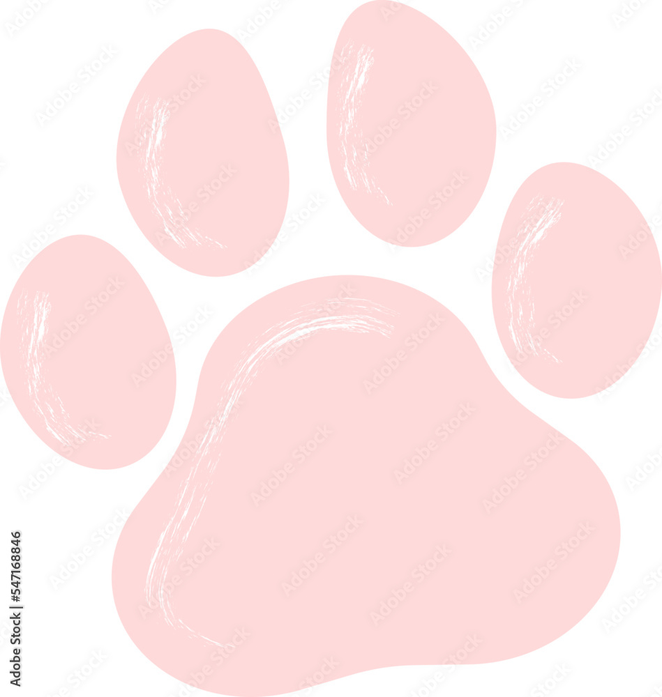 paw cat and dog paw cat and dog