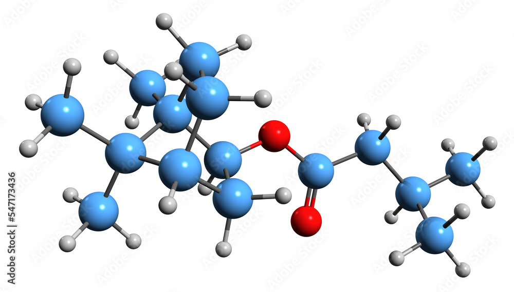 3D image of bornylizovalerianate skeletal formula - molecular chemical structure of Valerian officinalis phytochemical isolated on white background
3D image of bornylizovalerianate skeletal formula - molecular chemical structure of Valerian officinalis phytochemical isolated on white background