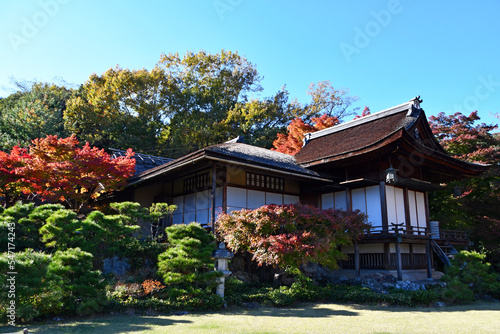 京都 大河内山荘庭園 © maaagram