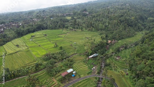 Bali, Indonesia - November 13, 2022: The Bali Terrace Rice Fields