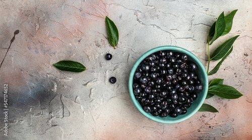 Superfood MAQUI BERRY. Superfoods antioxidant of indian mapuche, Chile. Bowl of fresh maqui berry and maqui berry tree branch, Long banner format. top view photo