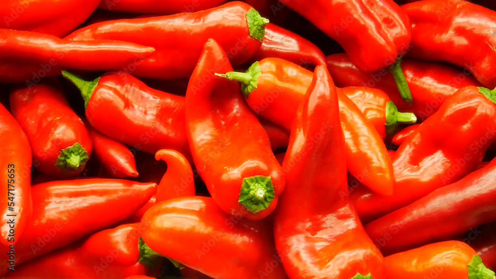 Many beautiful delicious red peppers Many beautiful delicious red peppers