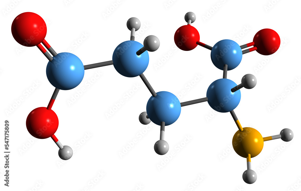 3D image of Glutamic acid skeletal formula - molecular chemical structure of 2-Aminopentanedioic acid isolated on white background 3D image of Glutamic acid skeletal formula - molecular chemical structure of 2-Aminopentanedioic acid isolated on white background