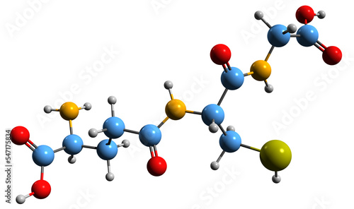  3D image of Glutathione skeletal formula - molecular chemical structure of tripeptide antioxidant isolated on white background
 photo