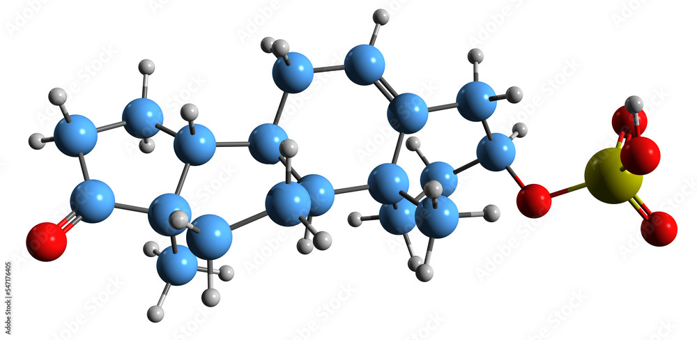 3D image of Dehydroepiandrosterone sulfate skeletal formula - molecular chemical structure of endogenous androstane steroid isolated on white background
3D image of Dehydroepiandrosterone sulfate skeletal formula - molecular chemical structure of endogenous androstane steroid isolated on white background