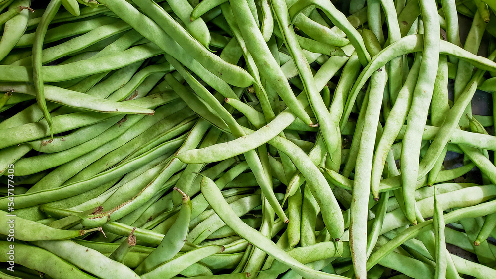 fruits and vegetables
fruits and vegetables