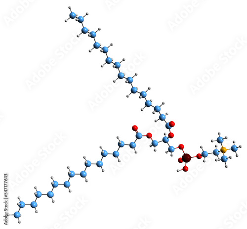  3D image of Dipalmitoylphosphatidylcholine skeletal formula - molecular chemical structure of  phospholipid isolated on white background
 photo