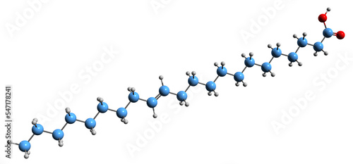  3D image of Erucic acid skeletal formula - molecular chemical structure of monounsaturated omega-9 fatty acid isolated on white background