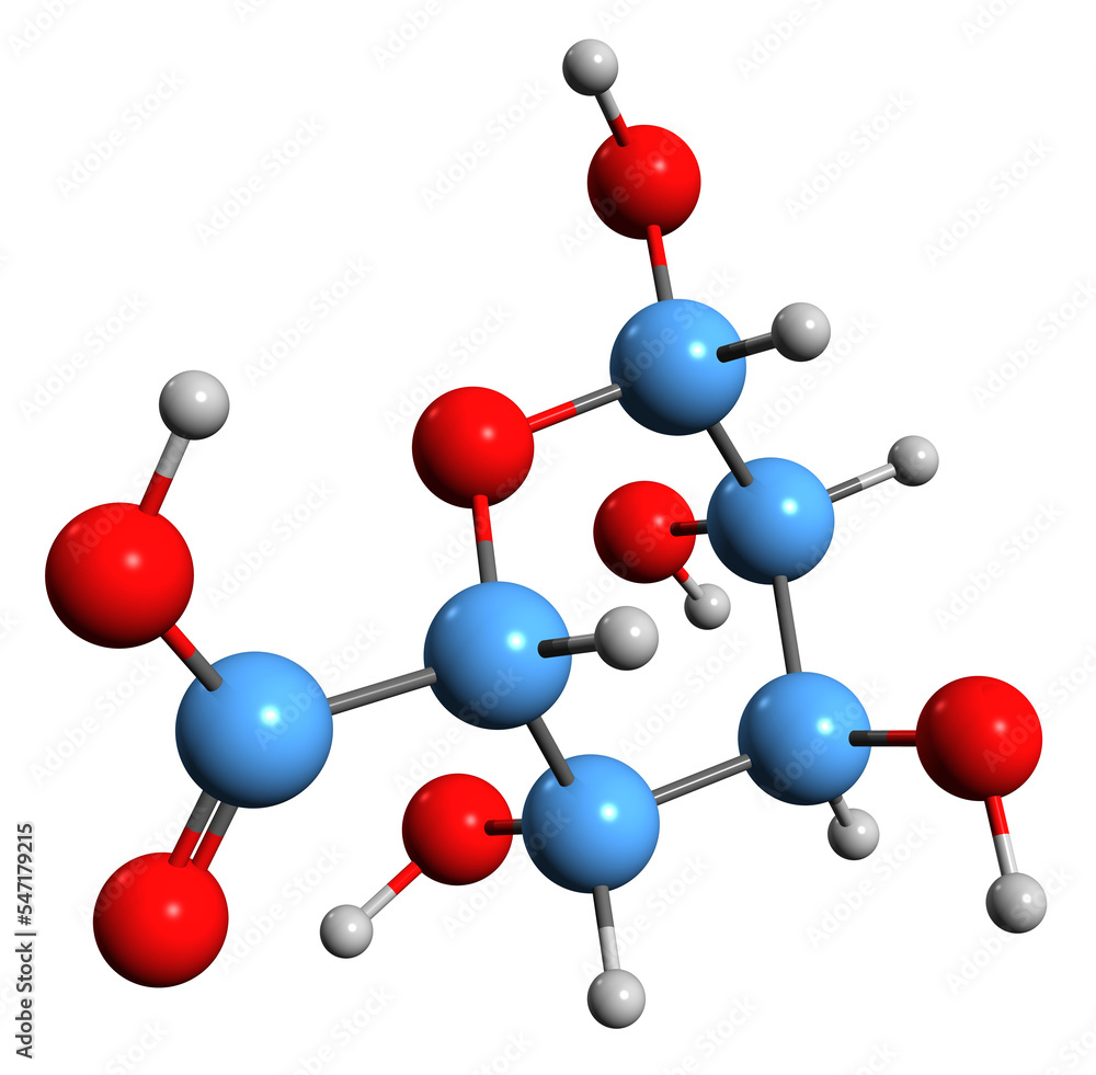 3D image of Iduronic acid skeletal formula - molecular chemical structure of metabolite IdoA isolated on white background
3D image of Iduronic acid skeletal formula - molecular chemical structure of metabolite IdoA isolated on white background