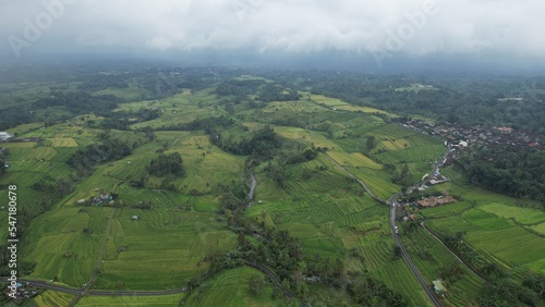 Bali  Indonesia - November 13  2022  The Bali Terrace Rice Fields