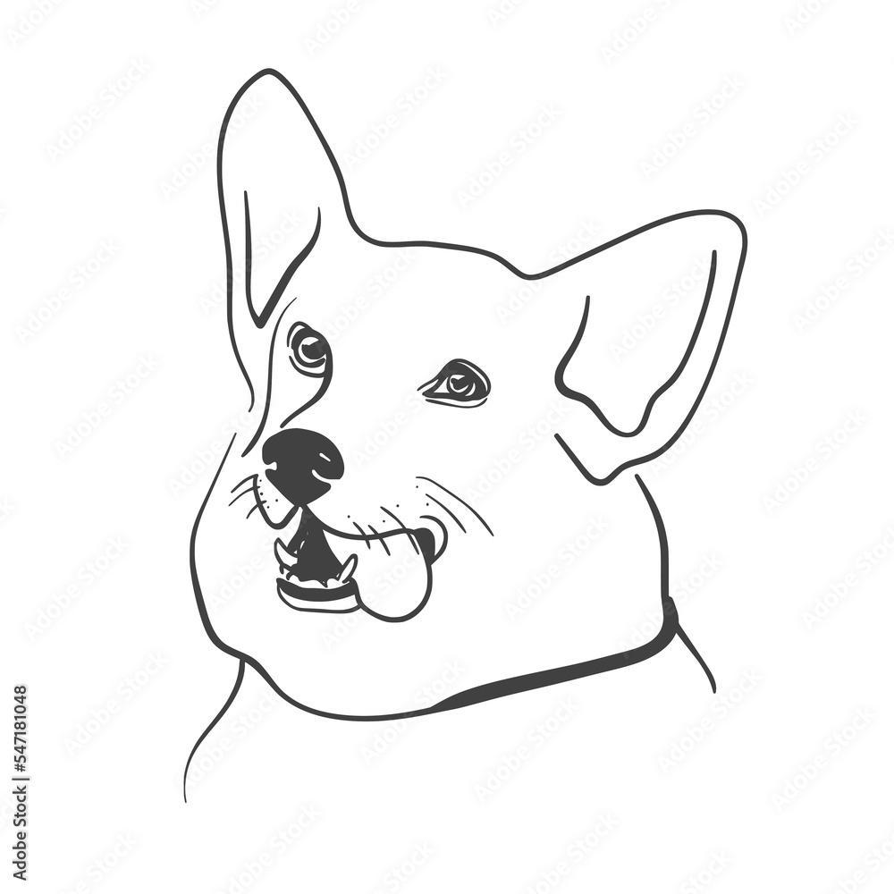 Dog outline on white background. Line art animals vector Dog outline on white background. Line art animals vector