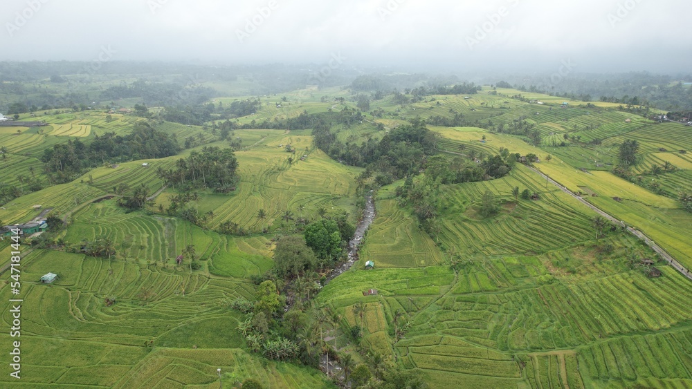 Bali, Indonesia - November 13, 2022: The Bali Terrace Rice Fields