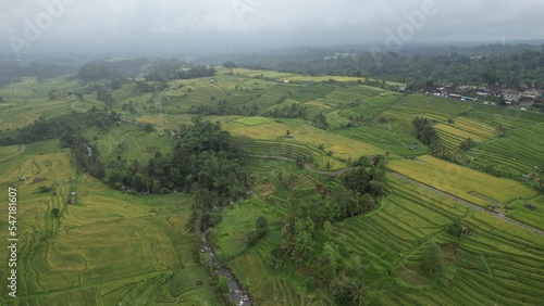 Bali  Indonesia - November 13  2022  The Bali Terrace Rice Fields