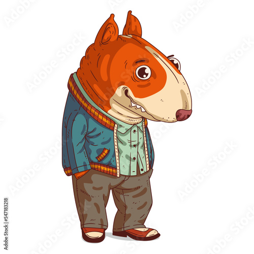 A Dog Person, isolated vector illustration. Casually dressed Dog with a human body. A Bull Terrier on white background. Drawn animal sticker art. Calm dog character smiling. Trendy dressed animal.