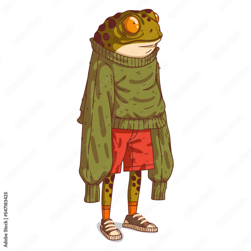 A Frog Person, isolated vector illustration. Cartoon picture of a toad in an oversized long-sleeved sweatshirt. Drawn animal sticker. An anthropomorphic frog on white background. An animal character. - obrazy, fototapety, plakaty 